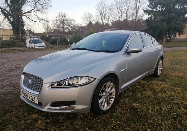 Jaguar XF cena 27900 przebieg: 220000, rok produkcji 2012 z Gubin małe 596